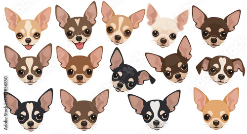 Chihuahua Dog Breeds Collection - Cute Puppy Faces and Various Colors