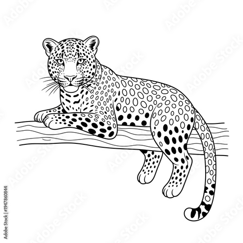 A black and white drawing of a leopard resting on a branch