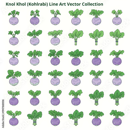 Knol Khol Illustration, Fresh Kohlrabi Vegetable Isolated, Organic Farm Produce Concept