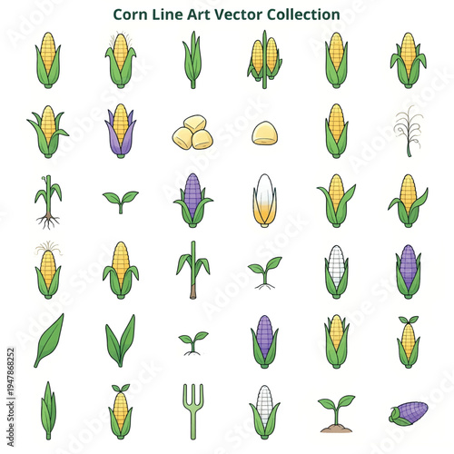 Corn Illustration, Fresh Sweet Corn Cob Isolated, Organic Farm Vegetable Concept