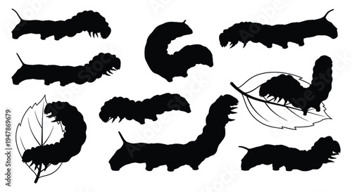 Black caterpillar silhouettes in various crawling and curled positions on leaves vector graphic illustration