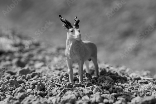 Konstfotografi This miniature figure depicts a Tibetan gazelle, a species of African spiral-horned antelope