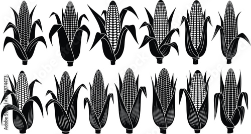 Corn Cob Silhouette Set with Maize Ears and Husk Leaves Isolated Vector Collection for Agriculture Design, Farm Graphics, Organic Food Labels, and Harvest Illustrations