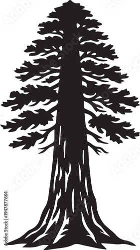 Giant Sequoia Redwood Tree Silhouettes Vector