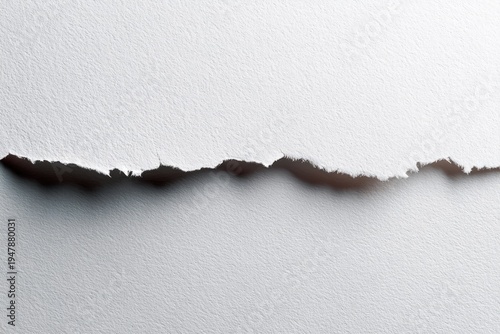 White paper with a dark, jagged tear across the center.