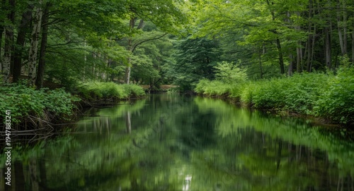 A reflective river moving quietly through thick vibrant forest with green trees and rich plant life