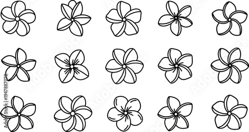 Black line of plumeria flowers on white background line black and white floral pattern 1