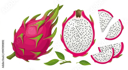 Fresh dragon fruit vector set, whole and sliced pitaya with white flesh and black seeds isolated on white background.