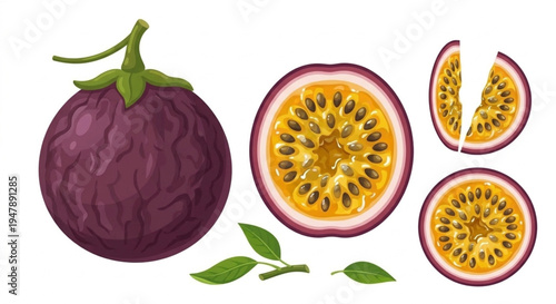 Fresh passion fruit vector set, whole and halved with juicy yellow pulp and seeds isolated on white background.