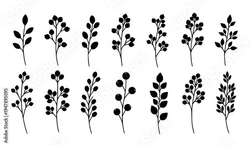 Silhouette berry branches botanical plant decorative vector elements collection isolated on white background