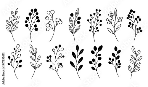 Botanical silhouette branches with berries decorative plant vector collection isolated on white background