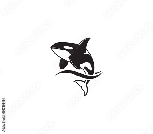 Black and white illustration of killer whale jumping out of water