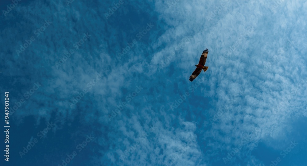 Fototapeta premium Bold red kite navigating across a richly textured sky with dense spiraling clouds reflecting freedom