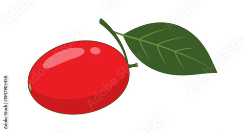 Fresh Red Cherry Fruit Closeup View.