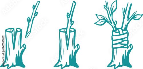Hand Drawn Tree Grafting Process Set Vector Illustration, Plant Grafting Technique Sketch Collection.