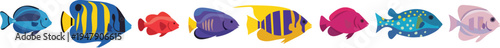 Colorful fish swimming in a row
