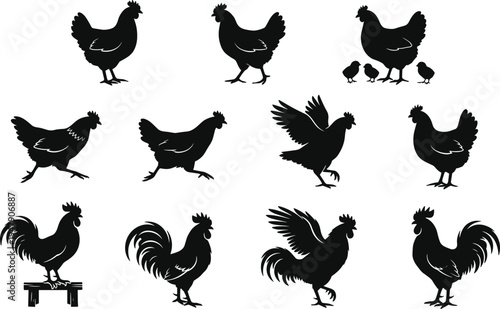 Chicken Silhouette Hen Rooster Chick Poultry Farm Animal Bird Vector Black Collection Icon Set Farmyard Rooster Hen Chicks