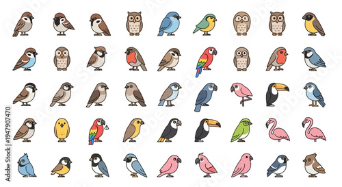 Collection of colorful illustrated birds in various poses and species.