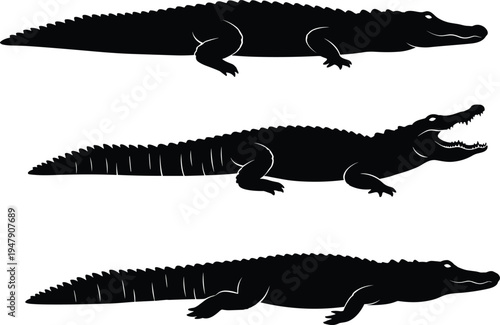 Crocodile Silhouette Alligator Reptile Animal Wildlife Predator Vector Black Collection Icon Set Swamp Marsh Side View Open Mouth