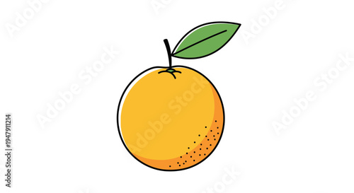Fresh orange fruit with green leaf 2.