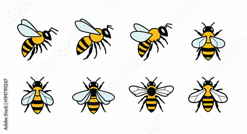 Group of flying honey bees insects.