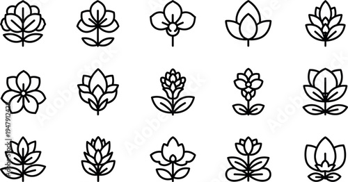 Black line of various lotus flowers and leaves on white background black and white 1
