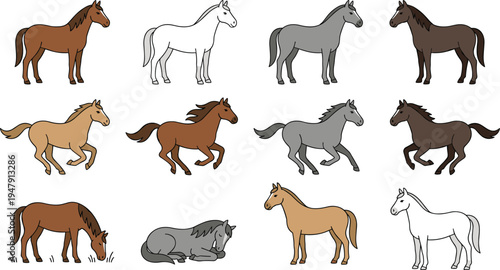 Horse Cartoon Standing Galloping Grazing Lying Pony Foal Colorful Animal Mane Tail Vector Illustration Set Farm Equine Brown White Gray Cute