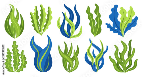 Set of cartoon underwater plants, seaweed, kelp, sea grass, isolated on white background