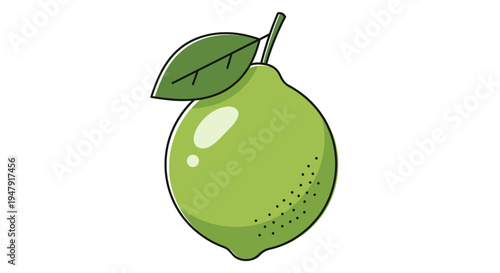 Green lime with leaf attached side.