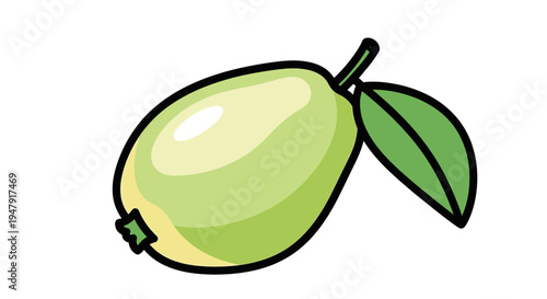 Green mango with leaf attached side.