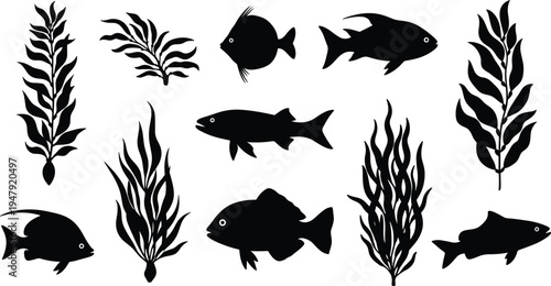 Marine fish and seaweed silhouette collection isolated on white background underwater ocean plants aquatic wildlife vector illustration set