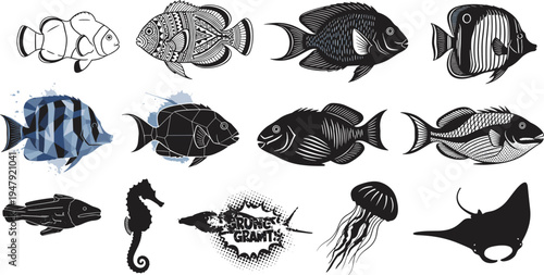 Tropical marine fish illustration set with seahorse jellyfish manta ray and aquarium species ocean wildlife vector design collection