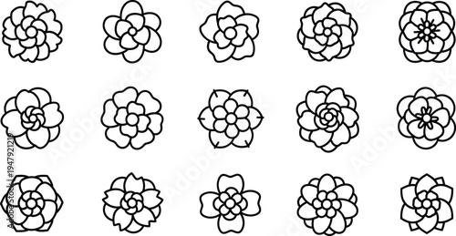 Black line of various succulent plants succulents line black and white 1 flowers