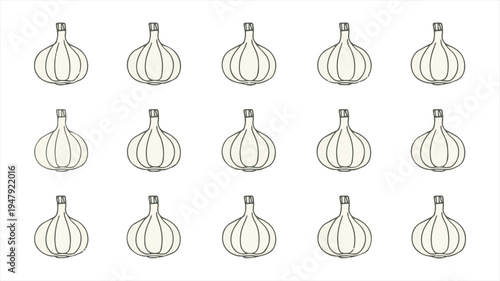 Vector template of a garlic bulb with an outline drawing style, featuring a simple and modern flat design, presented as a line clipart symbol collection