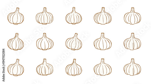 template of a garlic bulb with an outline drawing style, featuring a simple and modern flat design, presented as a line clipart symbol collection