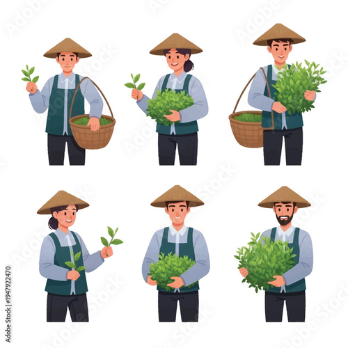 Diverse cartoon characters, both male and female, depicted as tea farmers or pickers, happily harvesting fresh green tea leaves while wearing traditional conical hats and aprons.