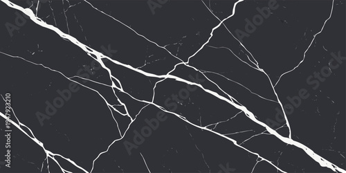 Premium black marble pattern texture with elegant stone surface background.