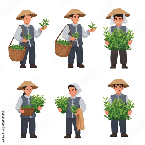 Six cartoon illustrations of Asian tea farmers in traditional attire harvesting fresh green tea leaves with baskets.