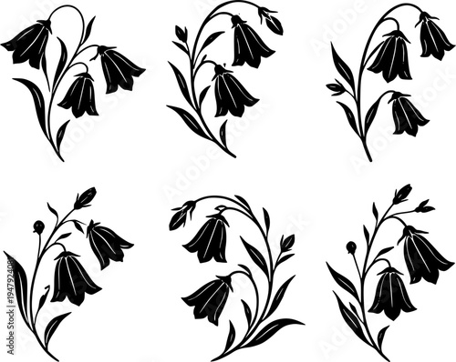 6 Premium Black Bellflower Flowers Icons. Botanical Graphic Elements. Design Element. Clip art. Suitable for artwork design. Editable for any design.