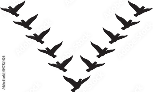 Migrating Birds Flock V Formation Silhouettes