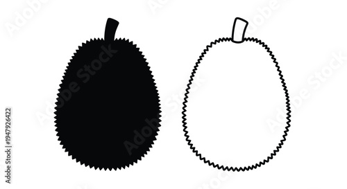 Two durian fruits depicted with contrasting styles a bold silhouette