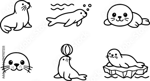 Seal animal marine wildlife cute sea lion and ocean mammal line icons set