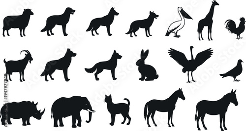 Farm and wild animals silhouette collection including sheep, dog, goat, rabbit, birds, elephant, rhino, horse and donkey isolated on white background