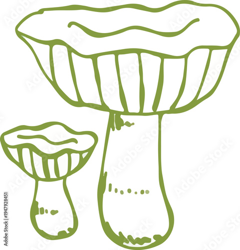 set of whimsical hand drawn mushroom, fungi clipart collection