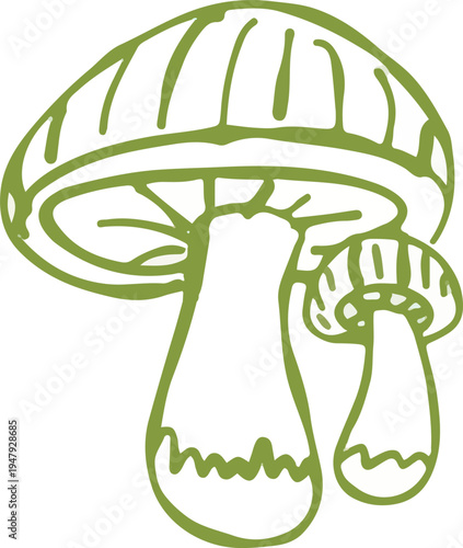 set of whimsical hand drawn mushroom, fungi clipart collection