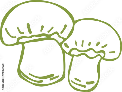 set of whimsical hand drawn mushroom, fungi clipart collection