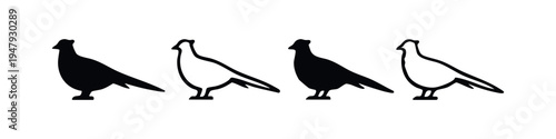 Minimalist Pigeon and Dove Silhouettes Set, Vector Icons