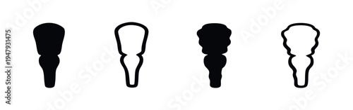Human brainstem or medulla oblongata vector icons set. Central nervous system anatomy on white background.