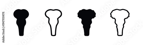 Human brainstem or medulla oblongata vector icons set. Central nervous system anatomy on white background.