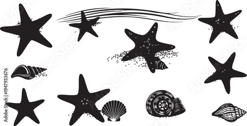 Black and white starfish and seashells illustration set